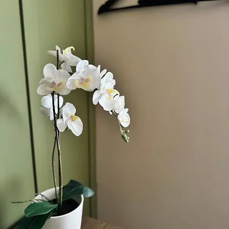 Haven House Rooms, Barry-2